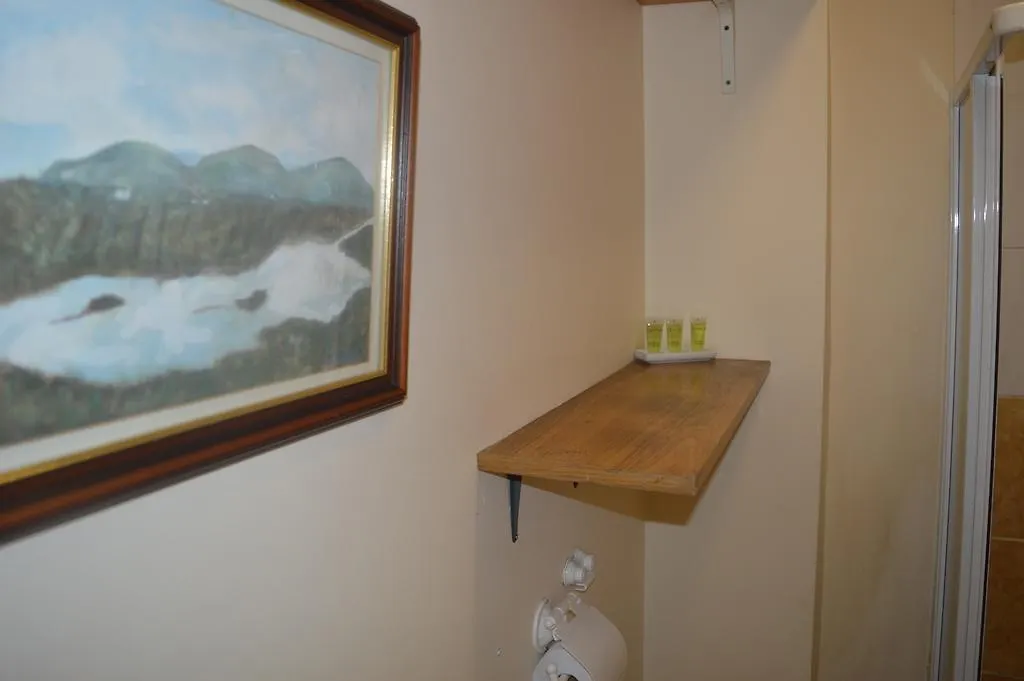 Super Central Dublin Apartments